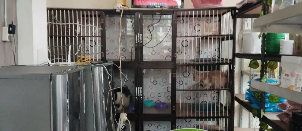 Jual murah lkandang lkucing 3 tingkat 6 kotak