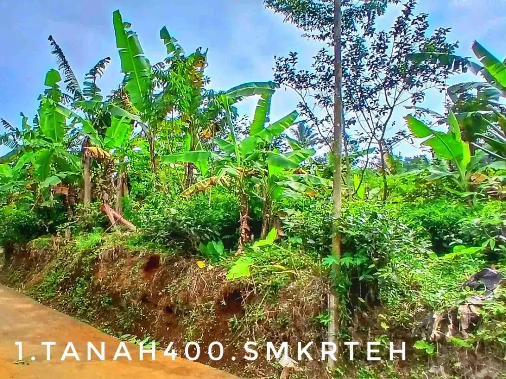 Dijual tanah matang padat subur bagus pinggir jalan akses mudah.