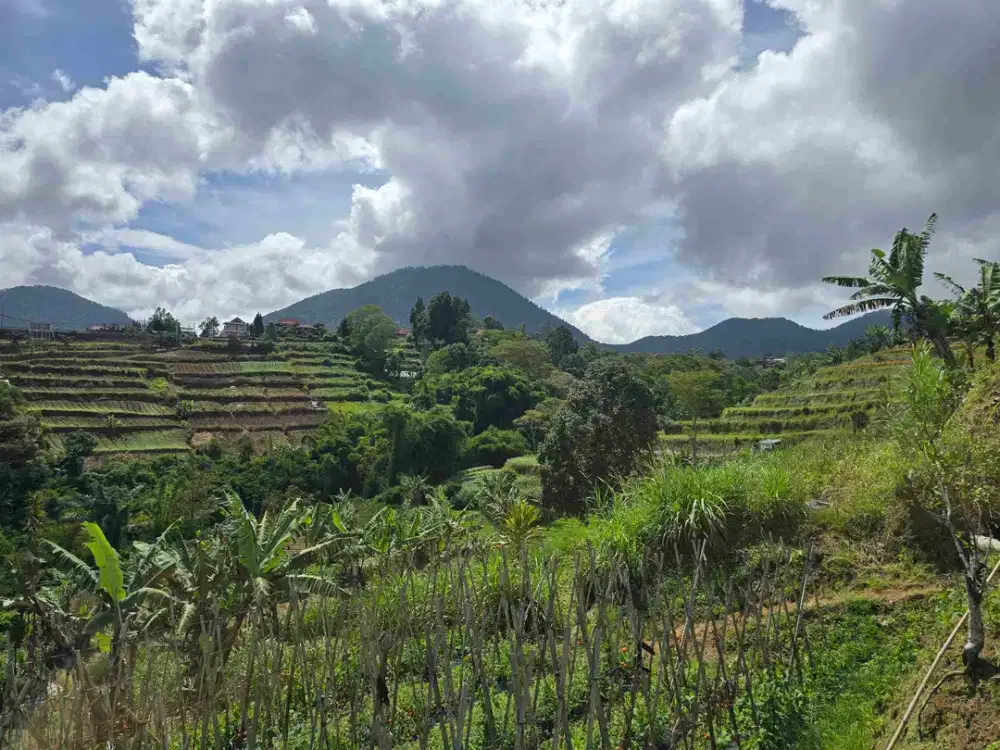 Dijal tanah murah view gunung laul dan lembah di bedugul bali