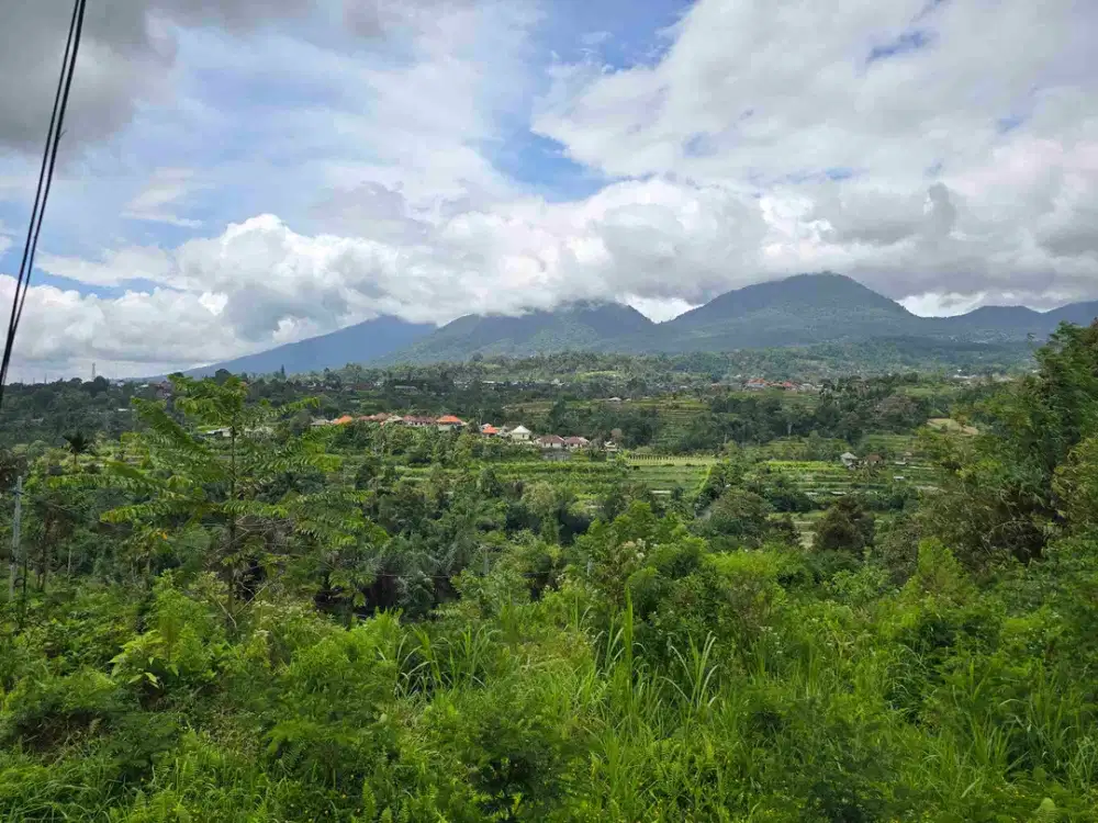 dijual tanah view exotik gunung dan terasering di baturiti bali