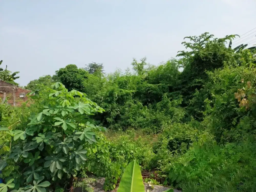 Tanah Komersial Raya Lingkar Timur Blurukidul Sidoarjo 6.669 m² – 3 SHM