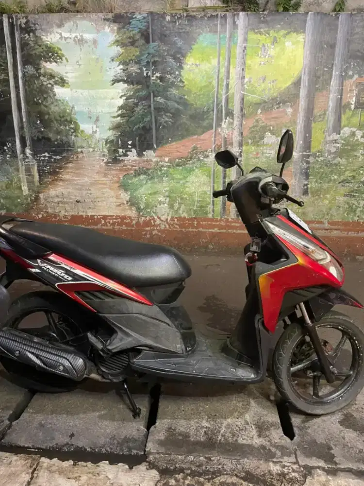 Vario Tecno 110 karbu