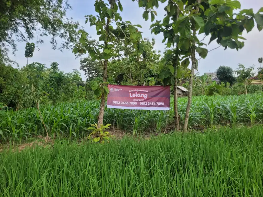 Tanah Strategis dan Murah di Kawasan Senori, Tuban dekat dengan Air Terjun Nglirip
