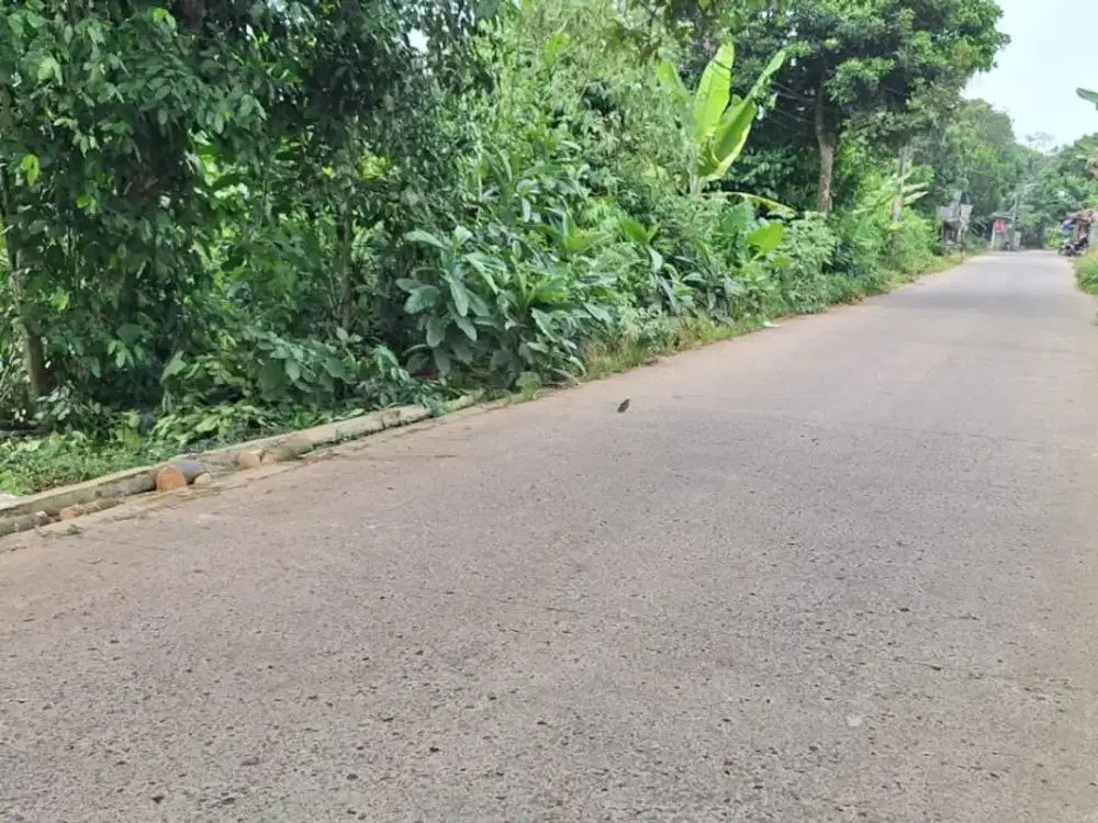 Mulai 1Jt-an, Tanah Strategis Cisauk Dekat Ke Stasiun Jatake Baru