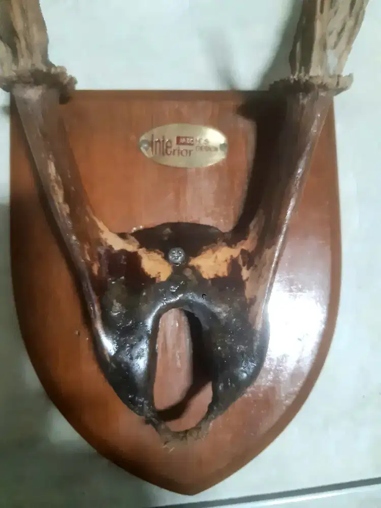 pajangan barang asli