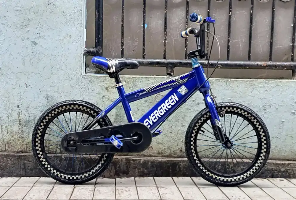 Sepeda Anak Evergreen 16 inc, harga pas.. Cipinang