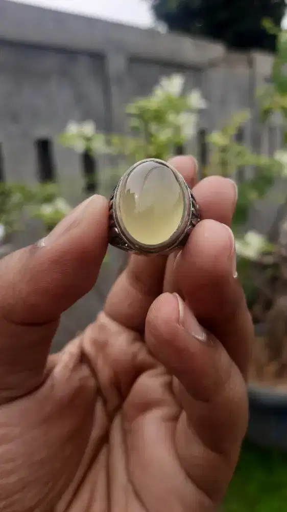Batu Cincin Anggur Hijau Lumut. (ORIGINAL NUSANTARA)