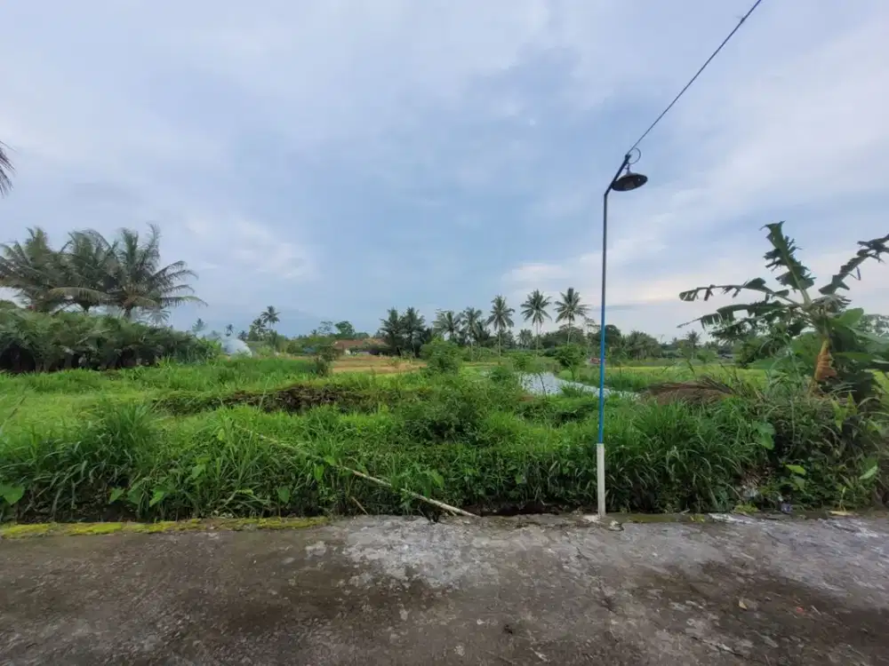 Tanah Strategis dan Murah di Kawasan Sudimoro, Magelang dekat dengan Jalan Raya Magelang-Yogyakarta