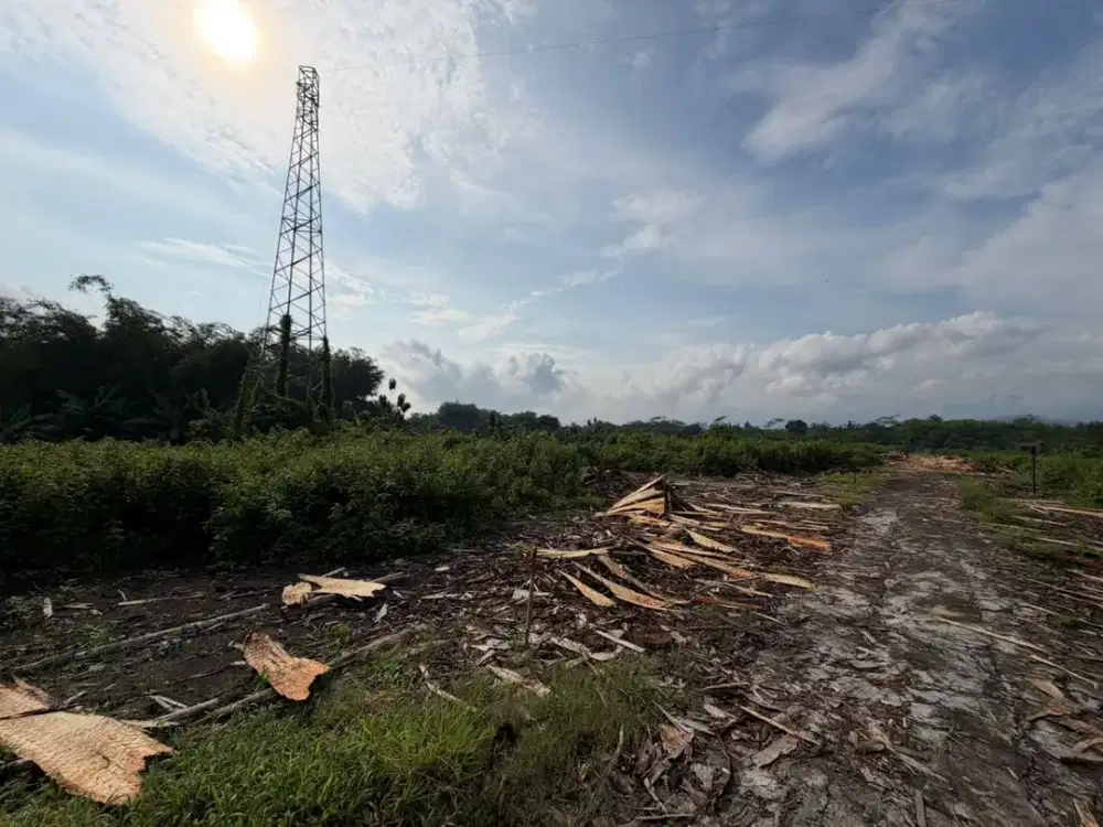 Pos Jaga dan Tanah Strategis di Kawasan Sidoagung dekat dengan Candi Borobudur Magelang