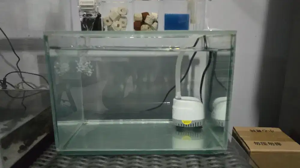 Aquarium Kaca 30x20x20 cm - Ukuran Minimalis