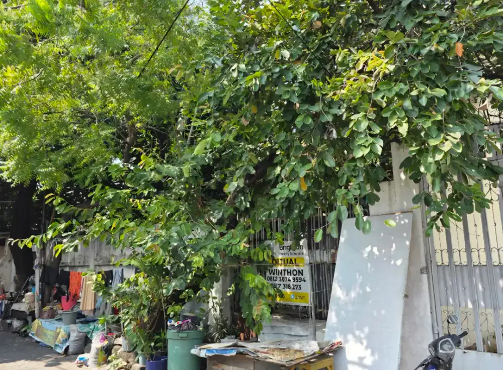 WISMA MUKTI , HITUNG  TANAH, MURAH !