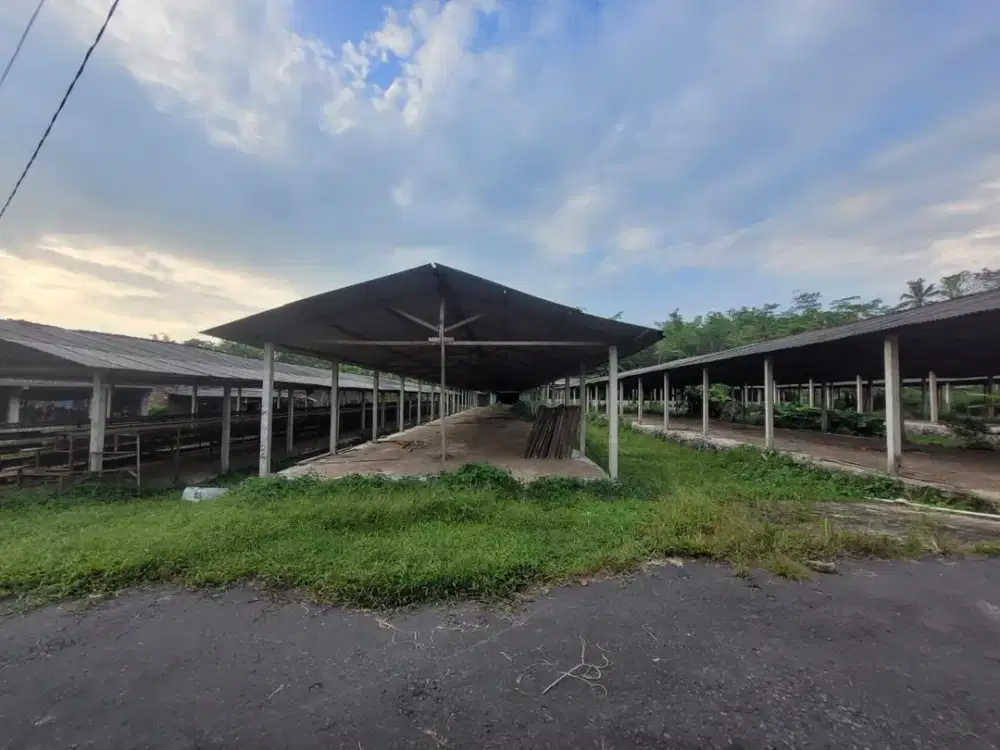 Kandang Ayam dan Gudang Strategis di Kawasan Sudimoro, Magelang dekat dengan Jalan Raya Magelang-Yogyakarta