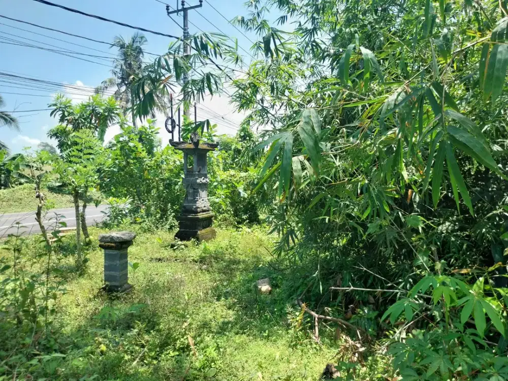 DIJUAL 1 BIDANG TANAH – KABUPATEN TABANAN