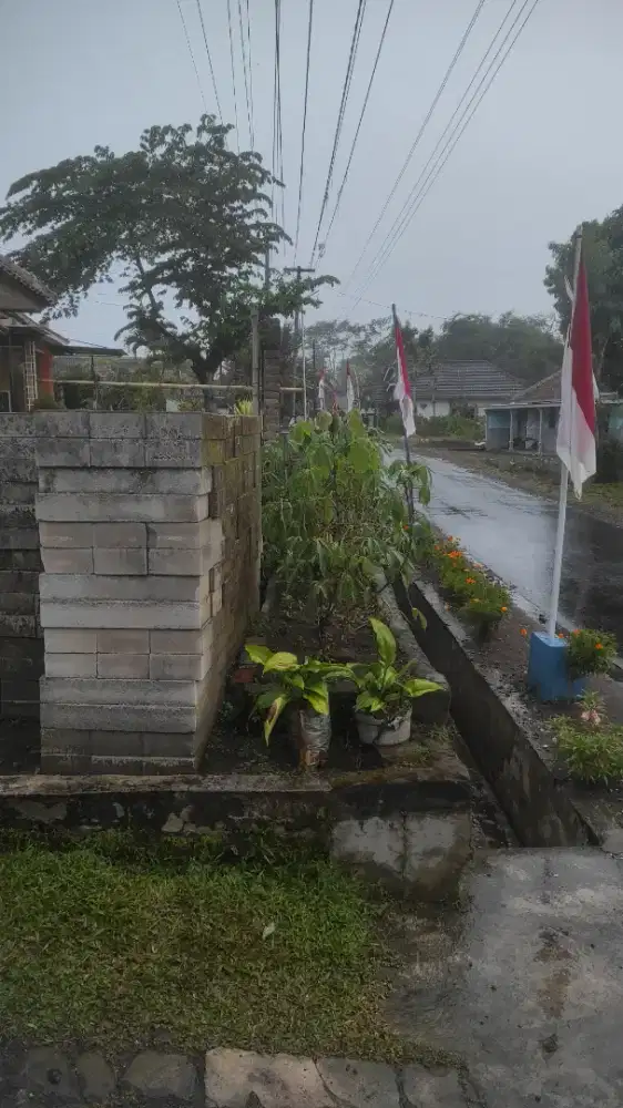 Cari yang kerja malam