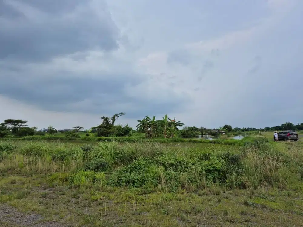 Jual Tanah sebelah Pondok Tjandra pas Sangat Murah sekali