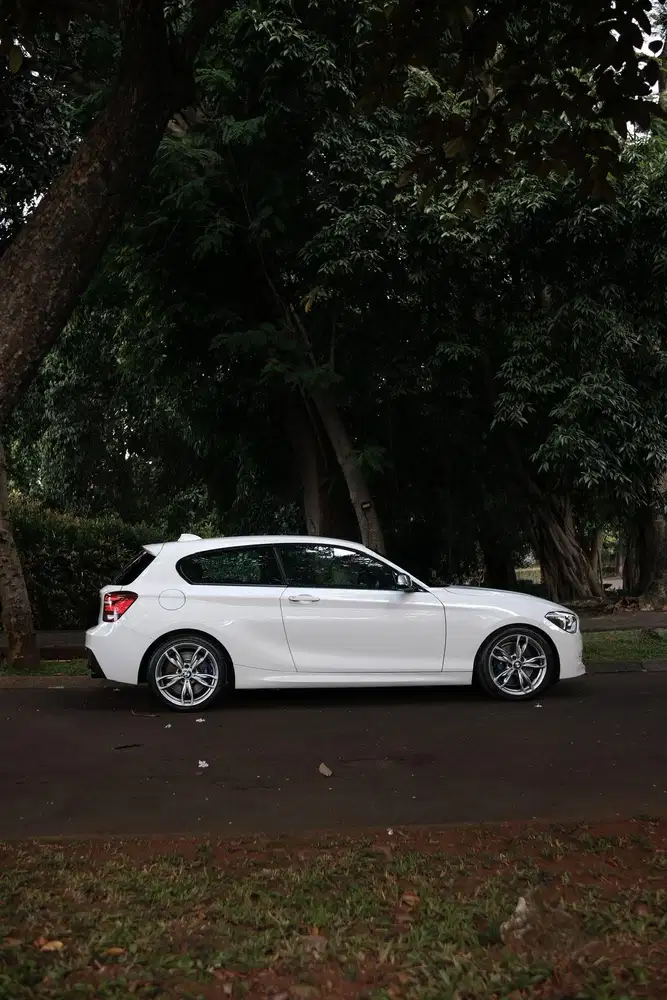 Rare! BMW M135i F21 Full Standard