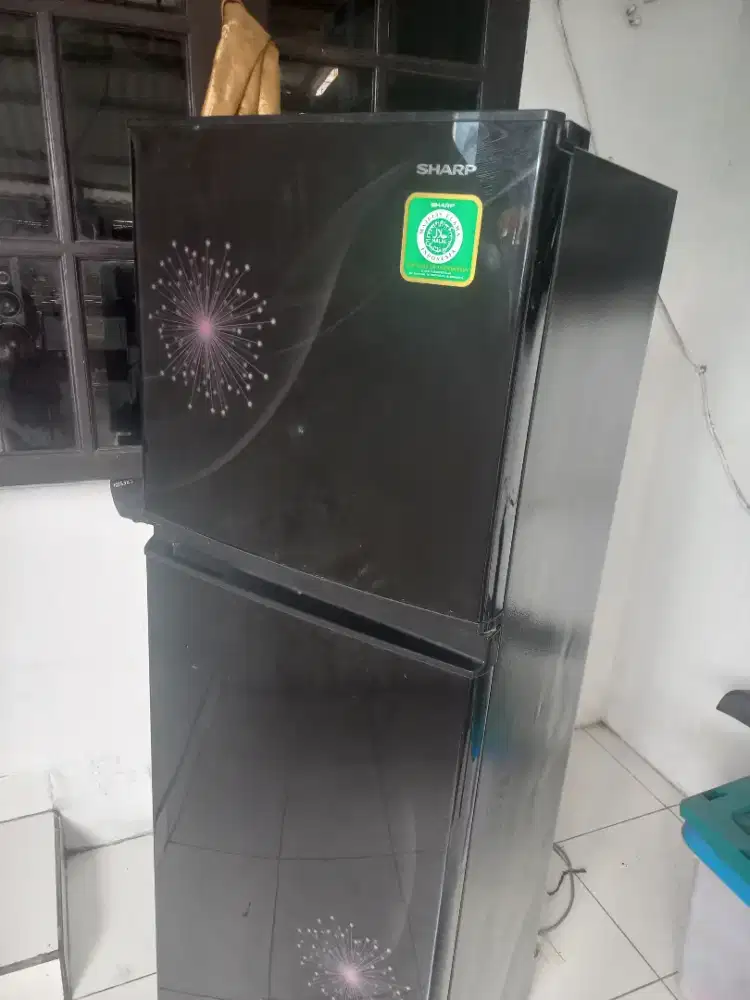 Kulkas sharp 2 pintu