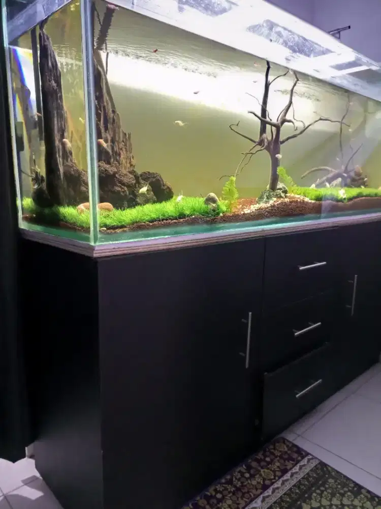 Aquarium dan meja kabinet