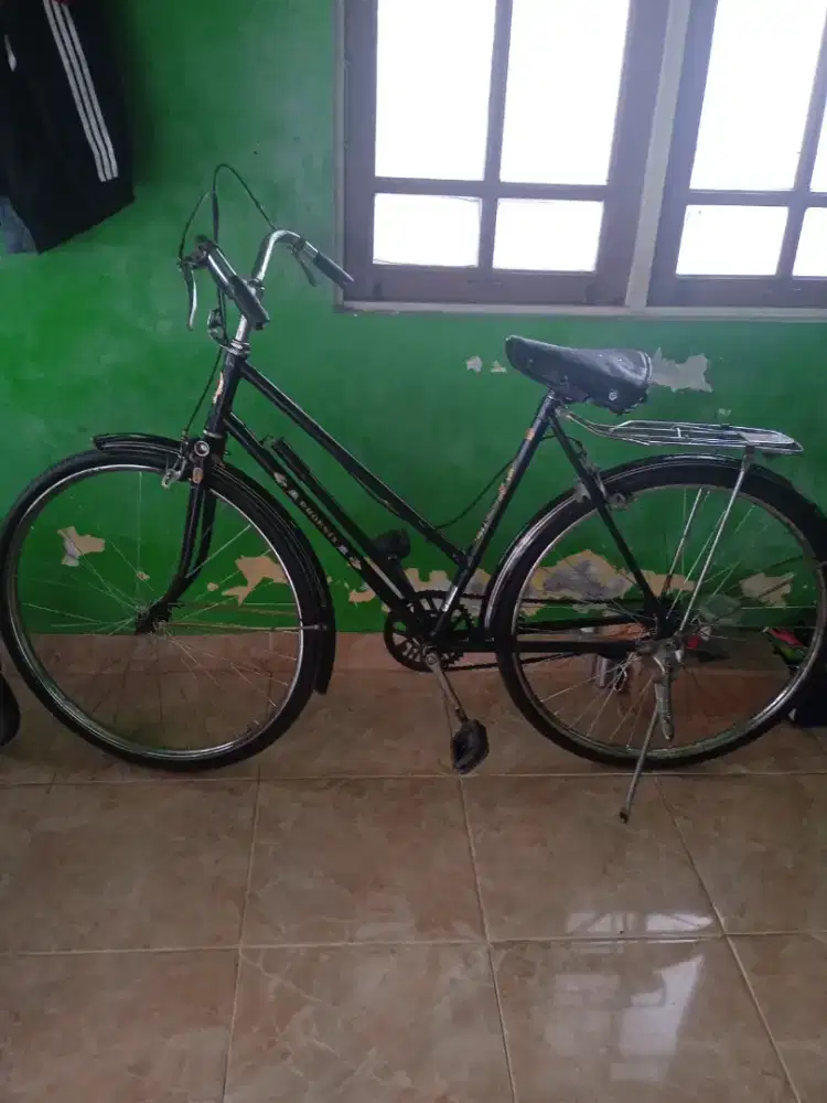 Dijual sepeda phoenix bekas