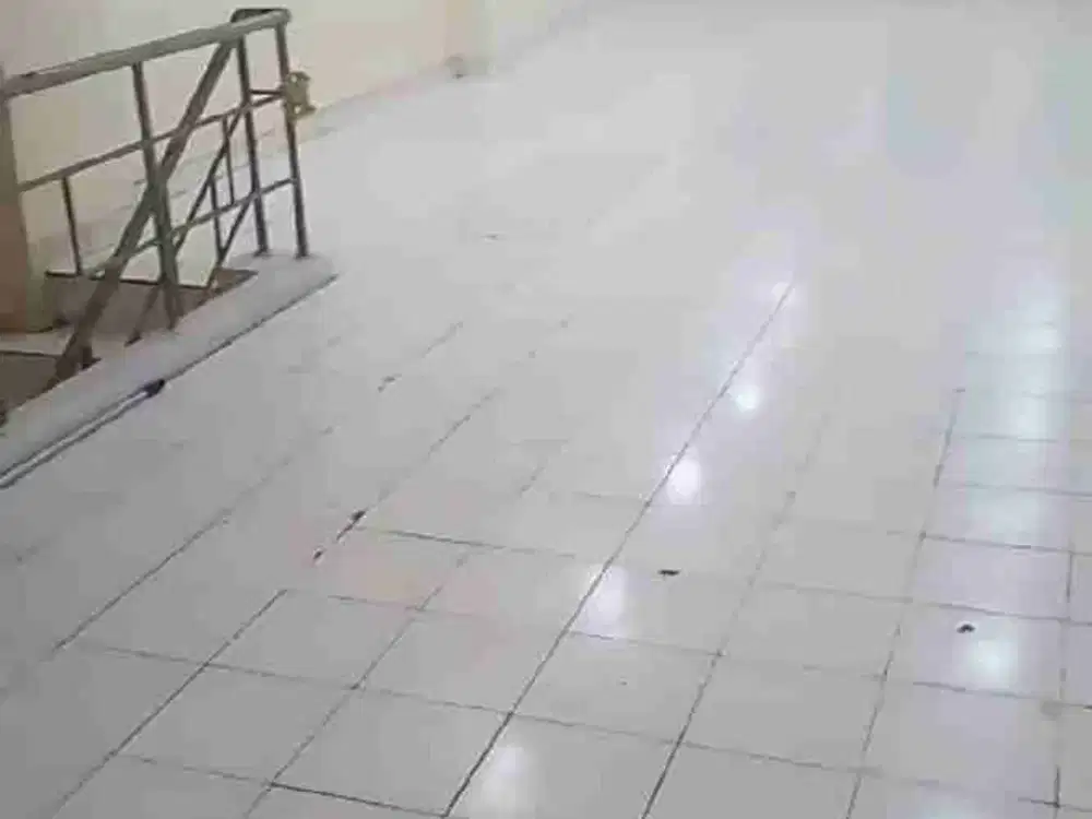 D sewa ruko mutiara taman palem