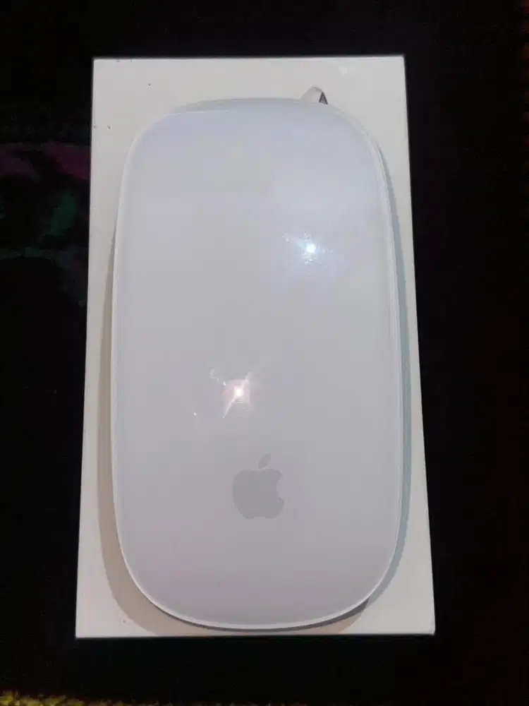 Apple magic mouse