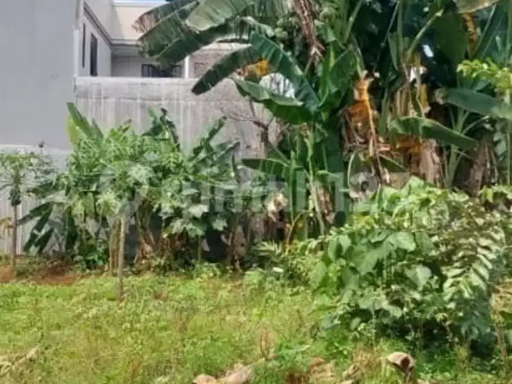 Dijual Kavling Luas Di Dekat Bintaro Tangsel