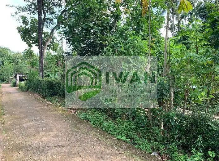 Tanah Kering/Pekarangan Luas & Murah Di Desa