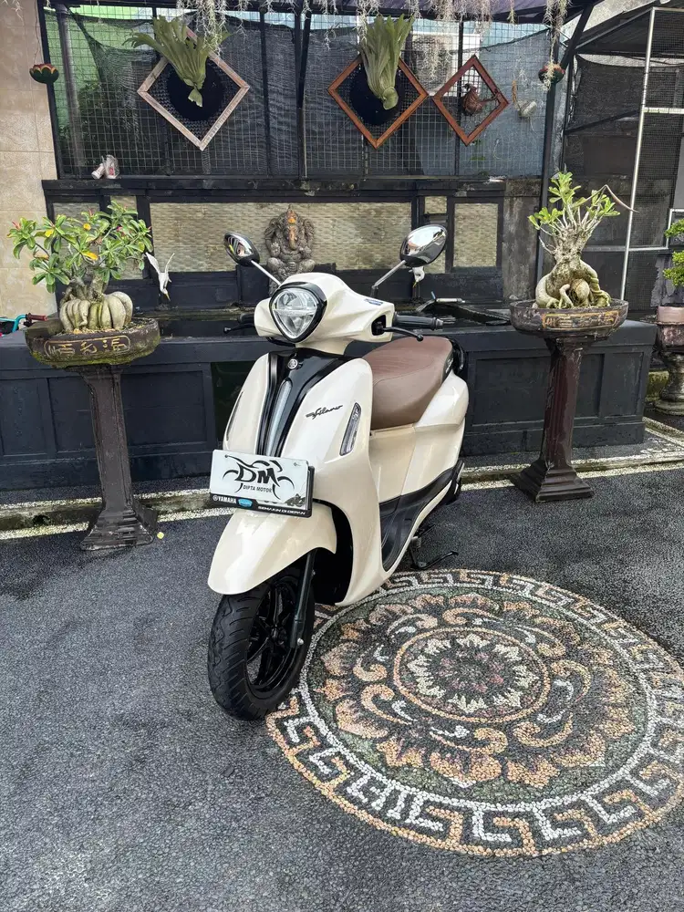 Filano neo putih 2024 super istimewa