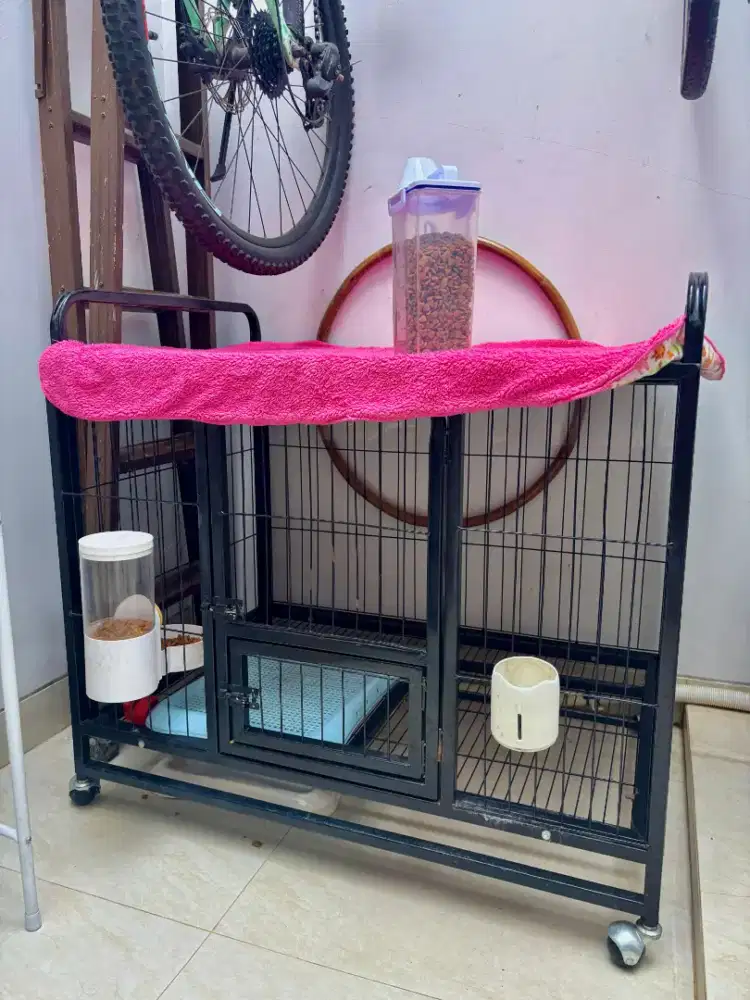 Kandang kucing atau anjing rasa baru