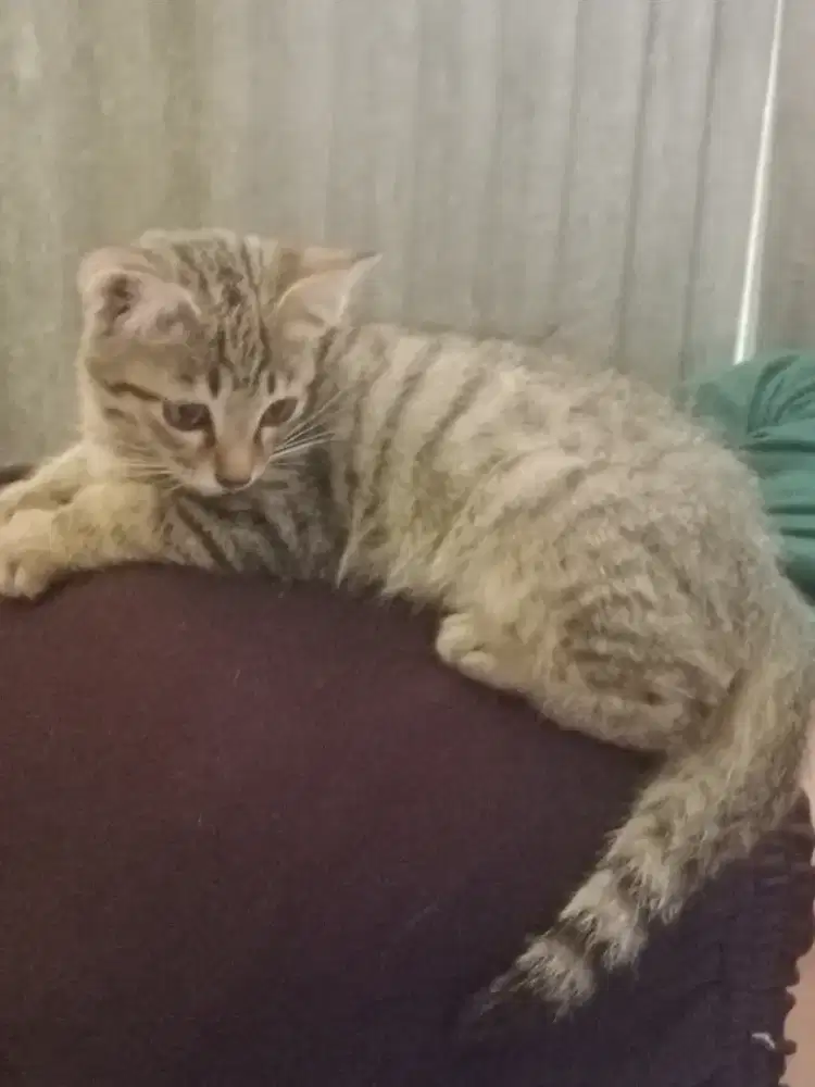 Cari kerjaan beberes rumah atau warungan