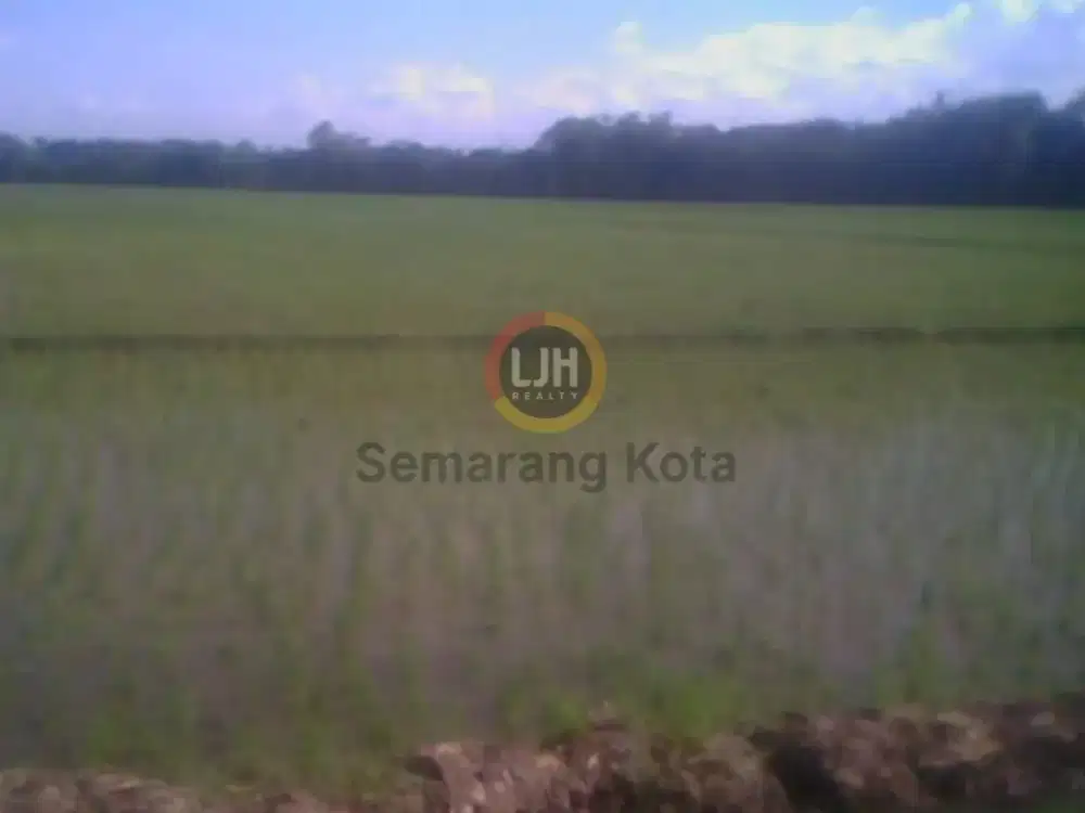 Kavling untuk industri di Sayung