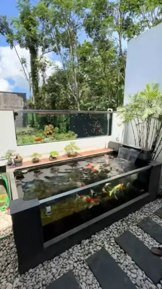 Pembuatan  kolam koi /spesialis pembuatan kolam koi