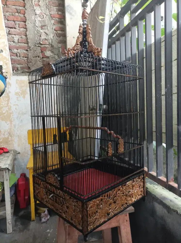 Sangkar ukir kayu Anis nerah