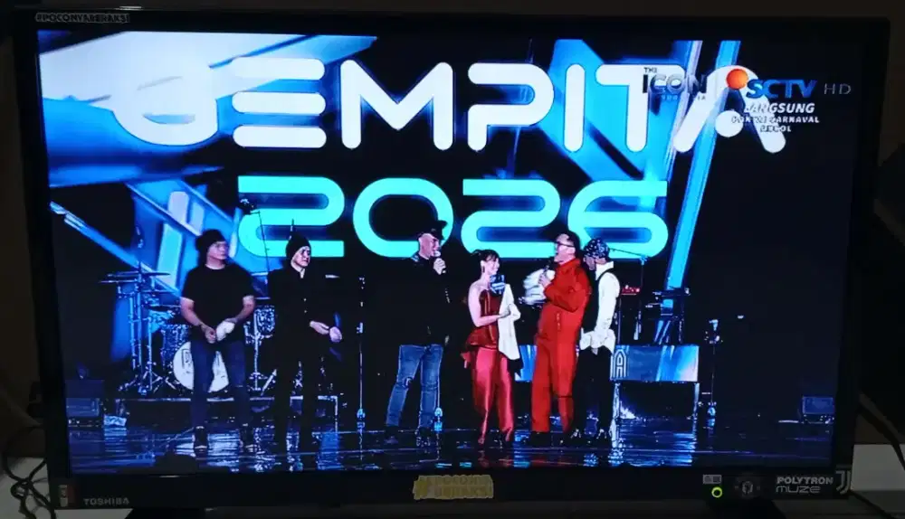 TOSHIBA ANALOG TV 24