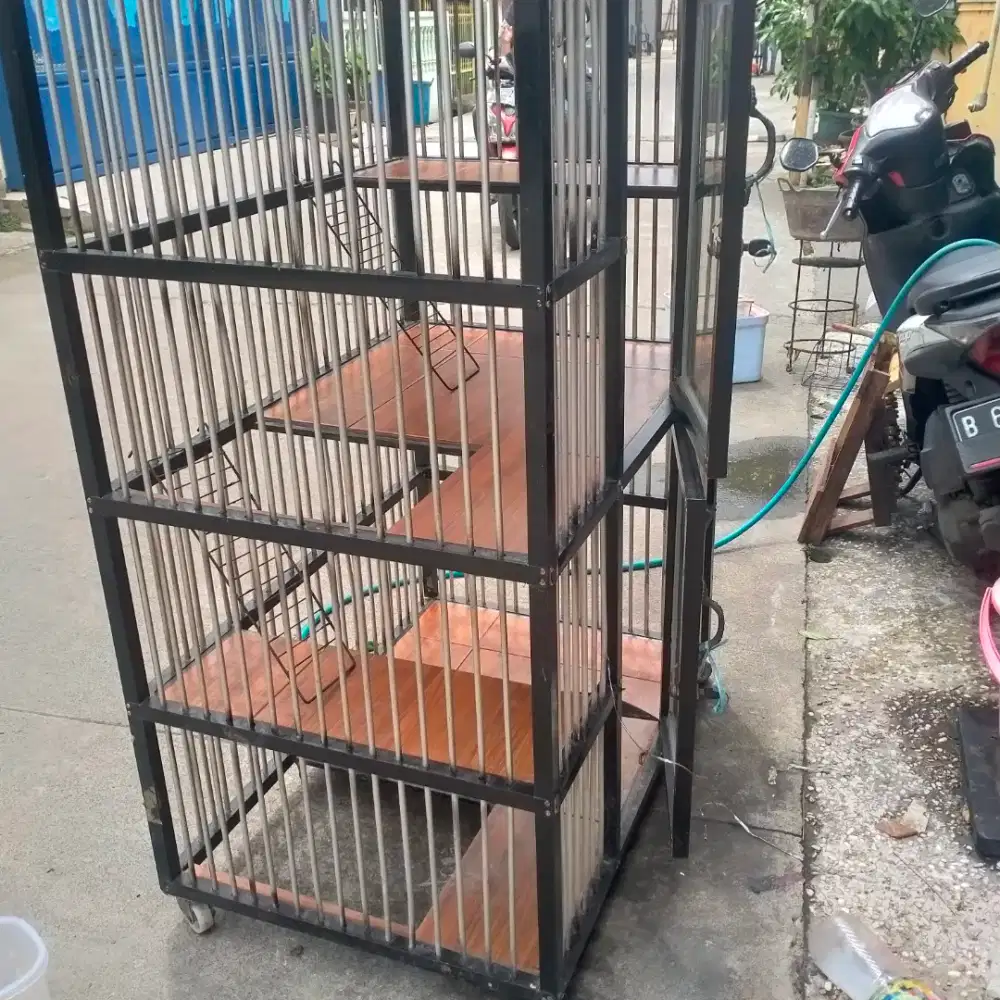 Kandang kucing persia