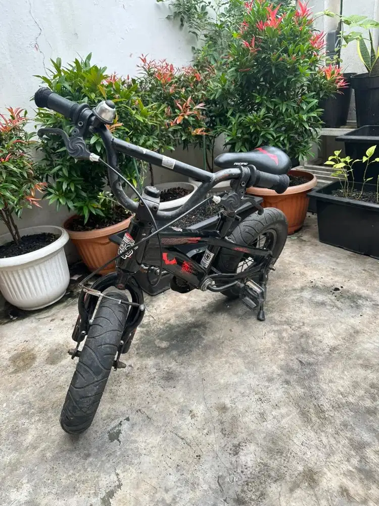 Sepeda Anak Pacific
