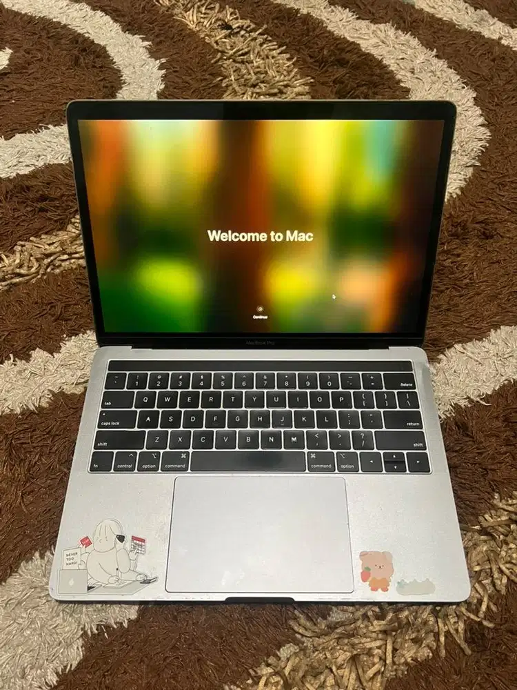 Macbook pro 13 inch 2019 8/256 4 port