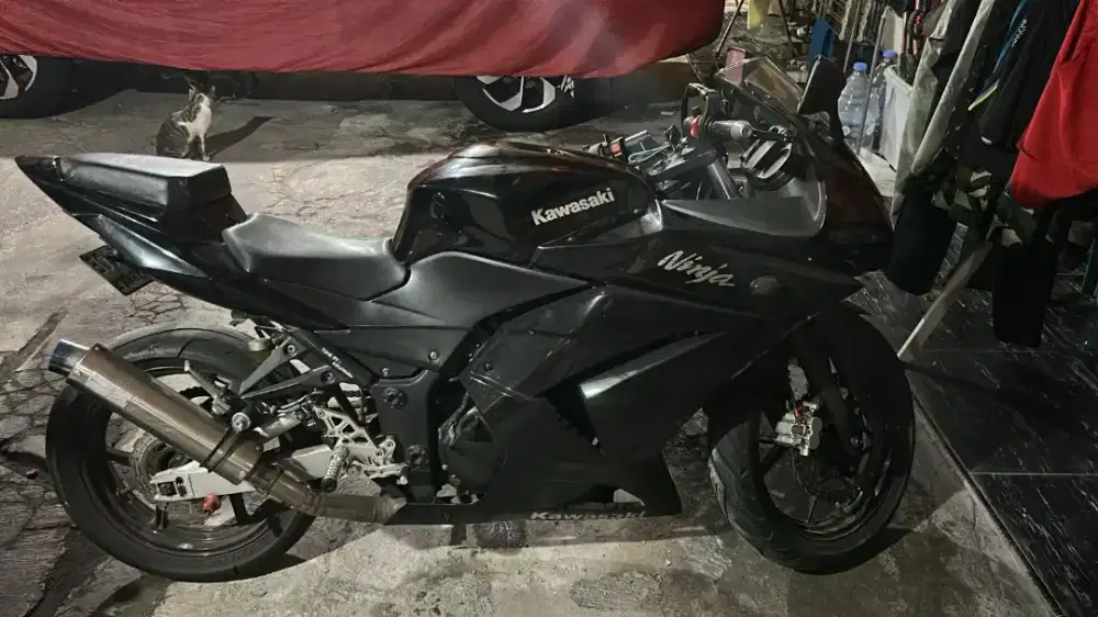 Ninja 250R/Ninja 250 Karbu