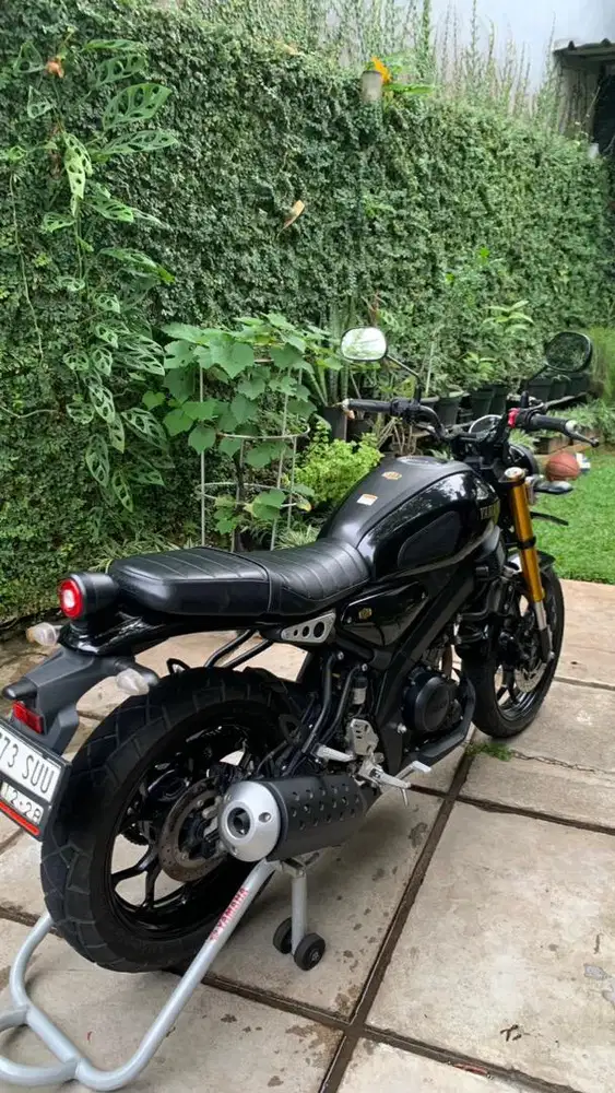 yamaha xsr 2023