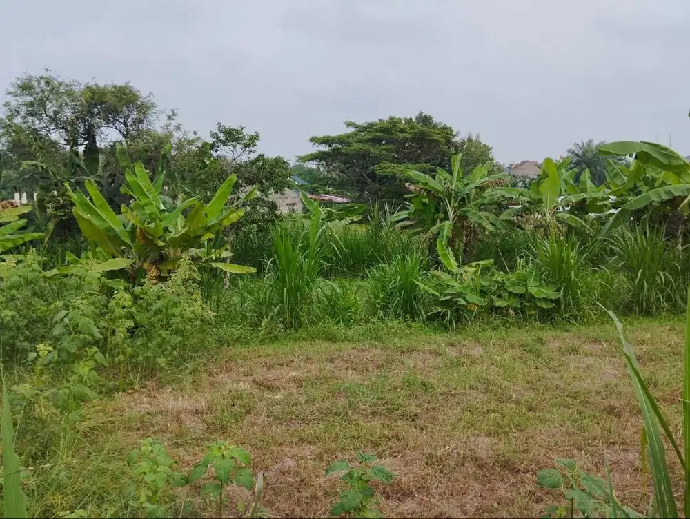 Dijual Cepat Tanah di Perumahan Permata Asri Jati Mulyo Rp 230rb-an/m²