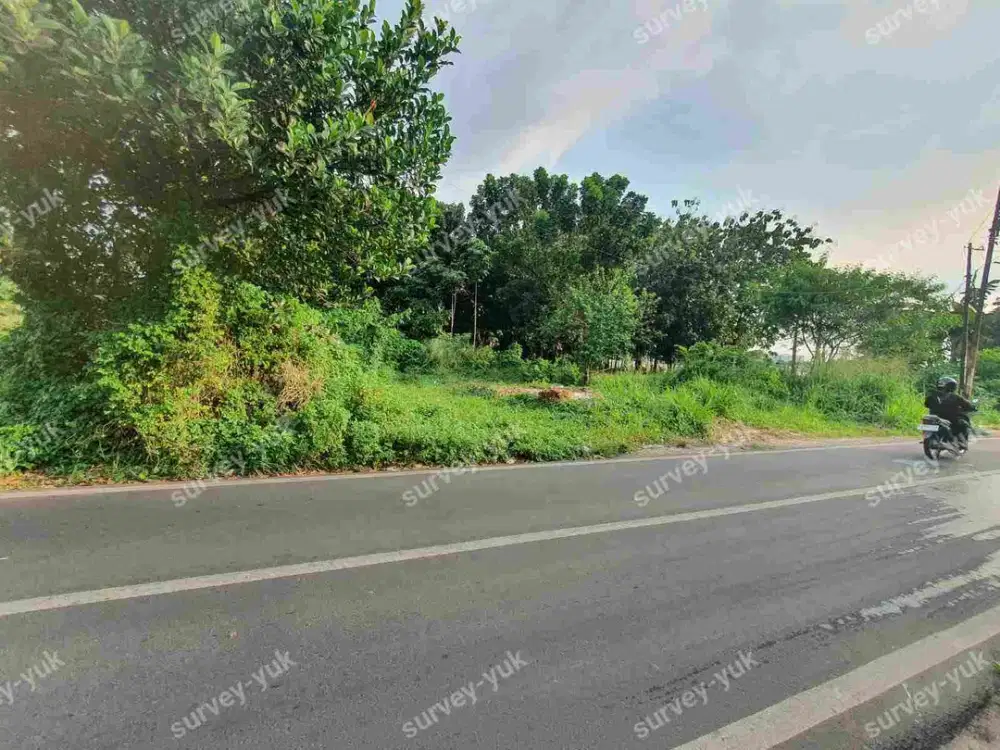 Tanah Luas 3200 m2 SHM Pinggir Jalan Ciater Serpong