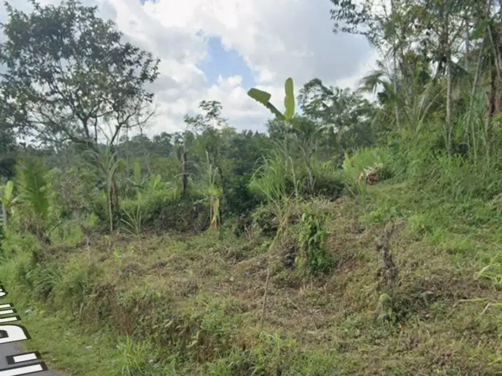 Tanah Strategis 70 Are Dijual, di Tegallalang Gianyar Area