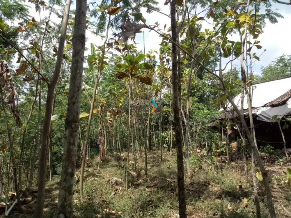 Dijual Tanah Kebun, Lahan di Prigen Pandaan, Malang
