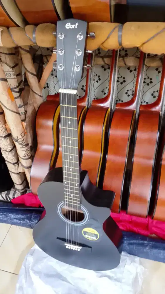 gitar akuatik cort