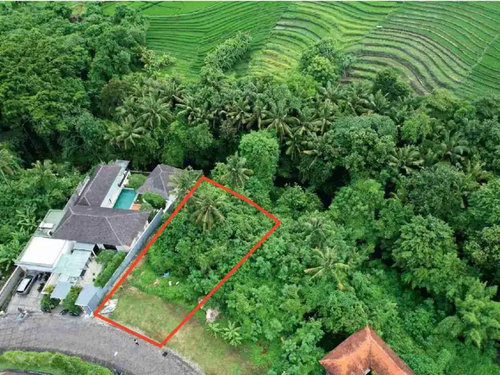 dijual tanah los sungai & view sawah munggu