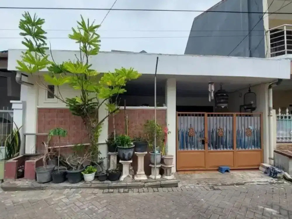 ‼️Termurah dikelasnya‼️ Rumah Taman Pondok Indah - Gunungsari Kebraon