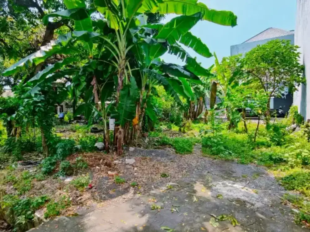 ‼️Tanah Hook Murah‼️ Kebonsari ELVEKA - Ketintang Gayungsari Jambangan