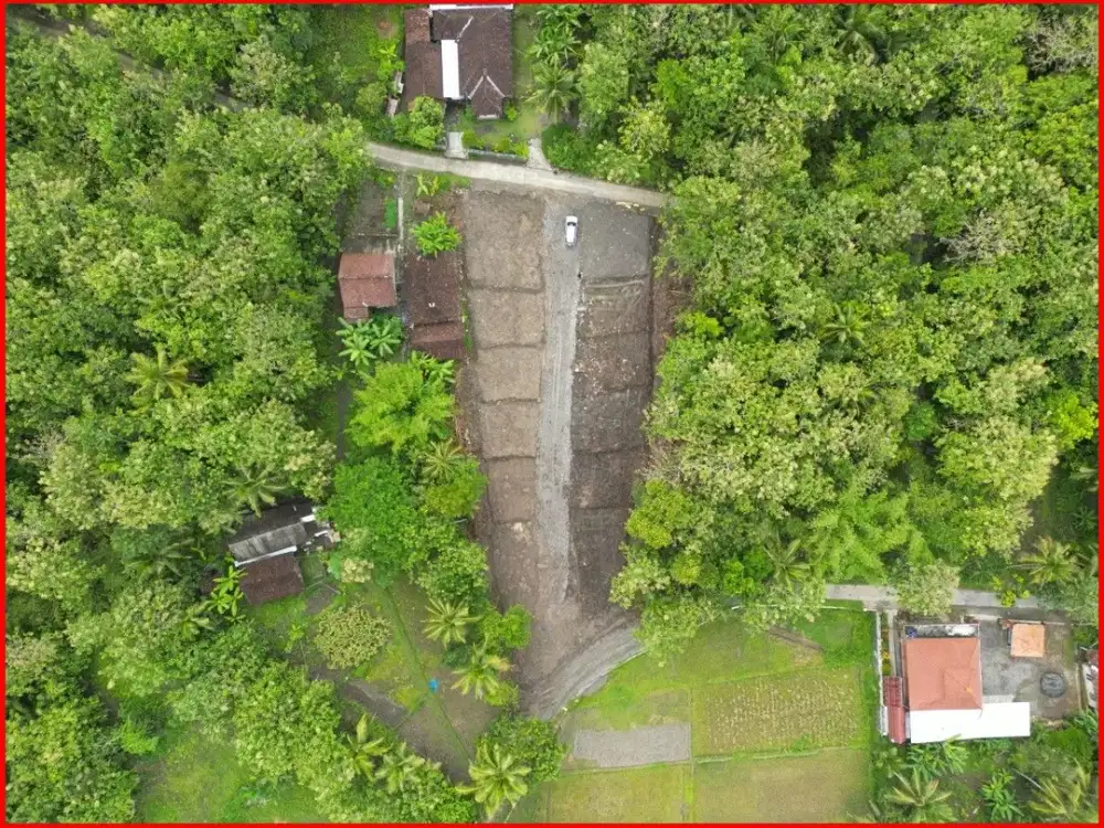 Jual Beli Tanah Dijual Yogyakarta Jl. Kw. Industrial Dekat Pasar Sentolo Untuk Rumah