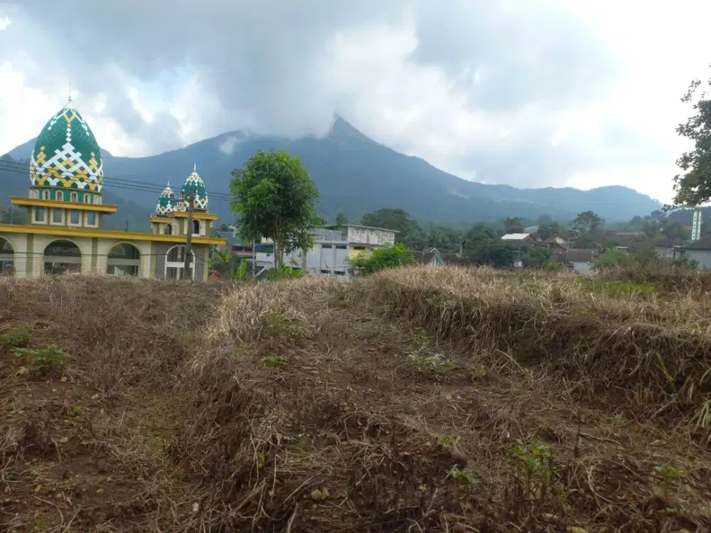 tanah di trawas mojokerjo bisa untuk villa view bagus