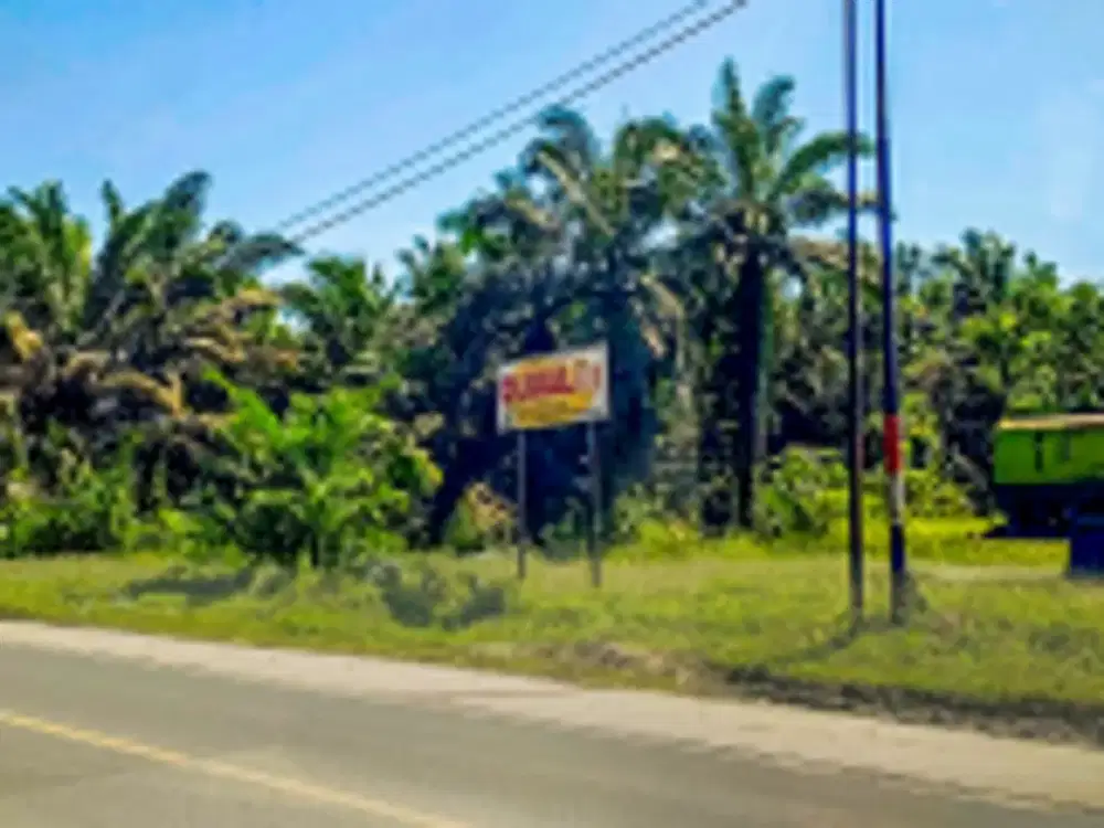 DIJUAL 1 BIDANG TANAH DENGAN TOTAL LUAS 9525 M2 - PEKANBARU